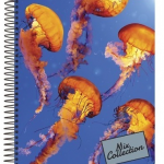 CADERNO UNIVERSITÁRIO CD 10M 200F MIX COLLECTION - KAJOMA